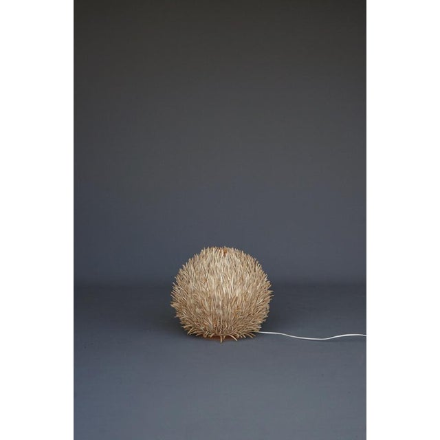 Sculptural sea urchin table lamp crafted with bleached coconut husk spines over a metal frame with a one bulb socket...