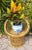 Vintage 1970s Rattan Barrel Chair Plant Stand For Sale - Image 9 of 10