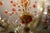 Red 19th Century Murano Glass Rezzonico Style Chandelier with Red Roses For Sale - Image 8 of 15