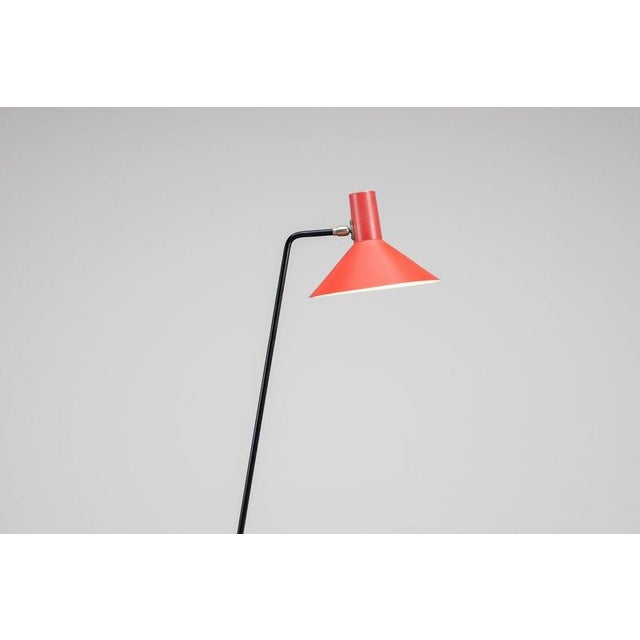 Metal Model 8025 Floor Lamp by J.J.M. Hoogervorst for Anvia, Netherlands, 1957 For Sale - Image 7 of 11
