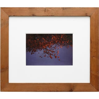 Albarran & Cabrera, Mouth of Krishna #455, 2013, Framed Photography For Sale