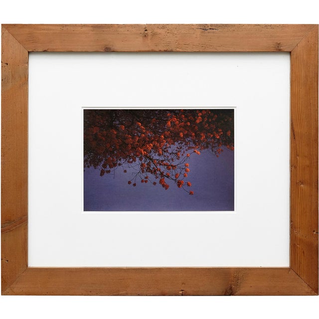 Albarran & Cabrera, Mouth of Krishna #455, 2013, Framed Photography For Sale