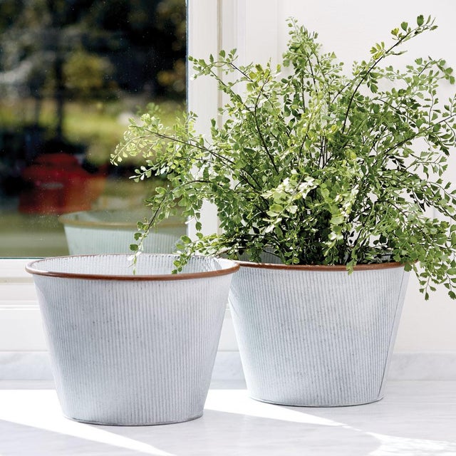100% realistic a perfect copy of your favorite greens. These dropins are nohassle works of art. Right down to the...