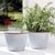 100% realistic a perfect copy of your favorite greens. These dropins are nohassle works of art. Right down to the...