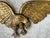 Metal Vintage Gold Painted Metal Eagle Wall Sculpture For Sale - Image 7 of 17