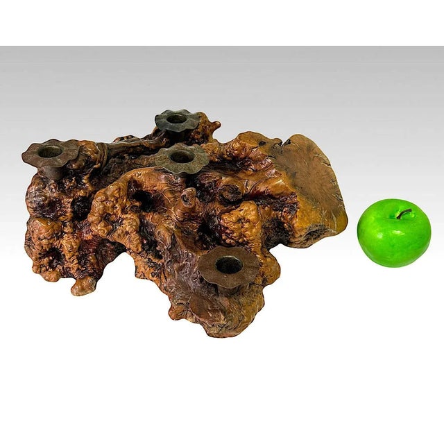 This will not disappoint - a beautiful and sizeable free-form, gnarly and naturalistic burl wood centre piece fitted with...