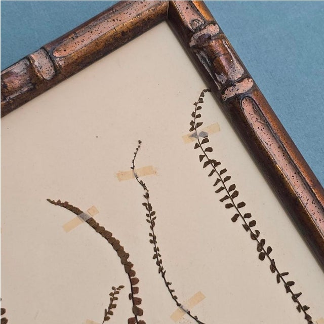 Swiss Herbarium Panels from École Dagriculture de Grangeneuve, 1920s, Set of 4 For Sale - Image 17 of 18