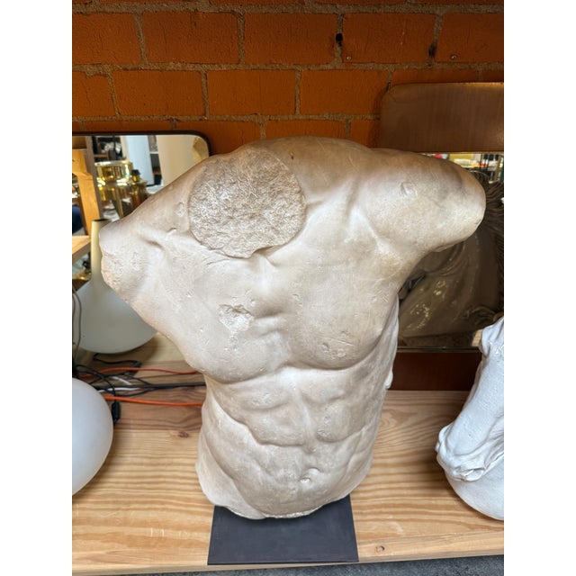 Gaddi's Torso, Plaster Bust, Copy in Scale 1/1 For Sale - Image 9 of 9