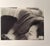 Urs Lüthi, Unisola nellaria, 1970s, Photography For Sale