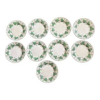 1940s Wedgewood Napoleon Ivy Plates - Set of 9 For Sale