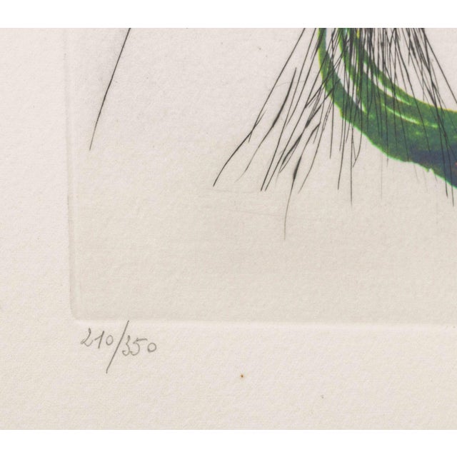 Orange Salvador Dali "Tiger Lily (Mustache)" Etching 1972 For Sale - Image 8 of 11