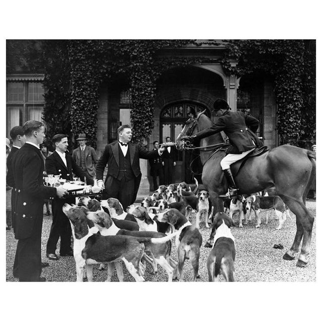 'Stirrup Cup' Unframed Archival Pigment Print For Sale