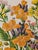 Set of three chromolithograph plates from W.J. Gordon's "Our Country's Flowers and How to Know Them," illustrated by John...