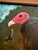 “Dead Skunk” Turkey Vulture Painting by LWren Walraven For Sale - Image 4 of 15