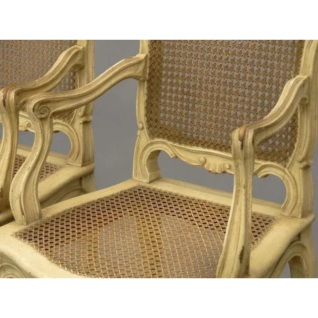 Cream 1920s Vintage Louis XV-Style French Caned Arm Chairs - Set of 4 For Sale - Image 8 of 13