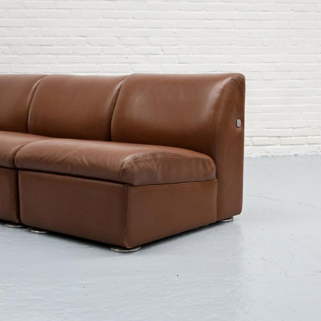 Animal Skin Cognac Leather Modular Sofa from Artifort, 1980s, Set of 4 For Sale - Image 7 of 18