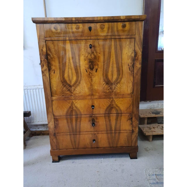 Wood Biedermeier Secretaire in Walnut, 1830 For Sale - Image 7 of 7