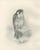 Lilian M. Medland, Peregrine Falcon, 1908, Monochrome Ornithological Plate For Sale - Image 3 of 9