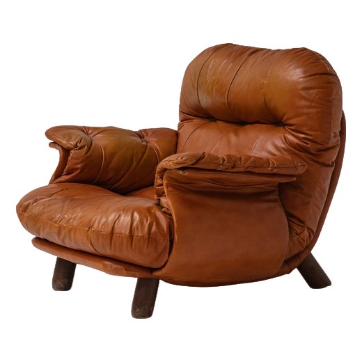 Lounge Chair by E. Cobianchi for Insa, Italy, 1970s For Sale