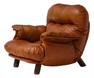 Lounge Chair by E. Cobianchi for Insa, Italy, 1970s