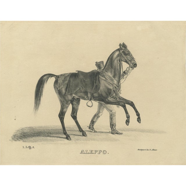 August Jäger, Aleppo, 1846, Lithograph For Sale