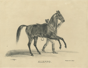 August Jäger, Aleppo, 1846, Lithograph
