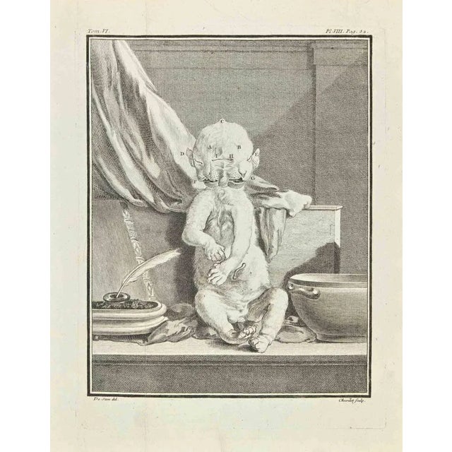 The Creature is an etching realized by Juste Chevillet in 1771. The artwork Belongs to the suite "Natural, general and...
