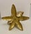 Late 20th Century Brass Seashell Nautilus Planter on Starfish Base For Sale - Image 5 of 8