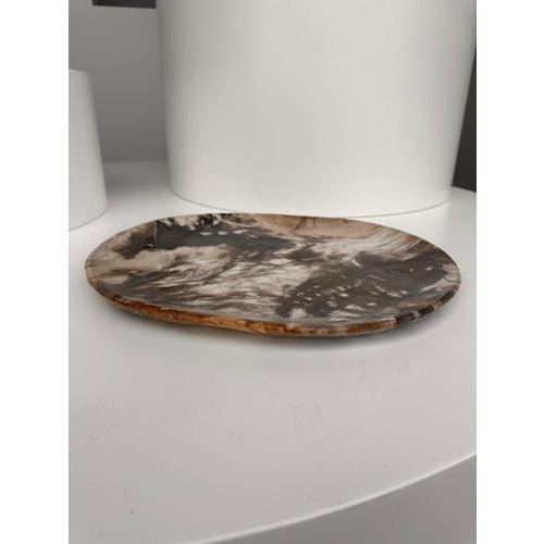 Very Large Vide-Poche or Dish in Petrified Wood For Sale - Image 16 of 18