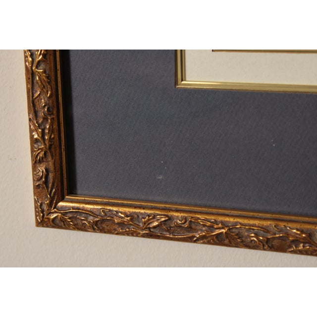 Vintage Iris Botanical Prints After Pierre-Joseph RedoutT - A Pair For Sale - Image 12 of 13