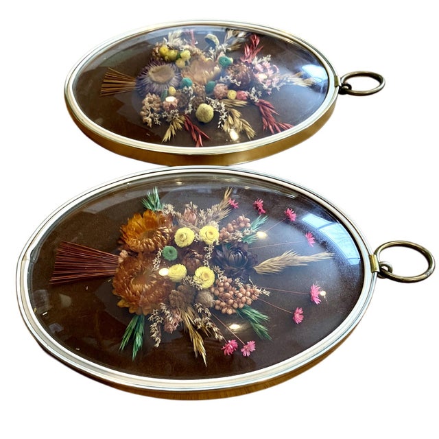 Mid 20th Century Pair of Vintage Oval Cideart Belgium Dried Floral Arrangements in a Convex Glass Dome Frames For Sale - Image 5 of 18