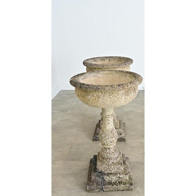 English Pair of 19th Century Cast Stone Planters For Sale - Image 9 of 14