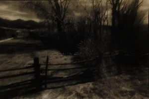 Vintage 1990's Sepia Toned Moody Landscape Photograph
