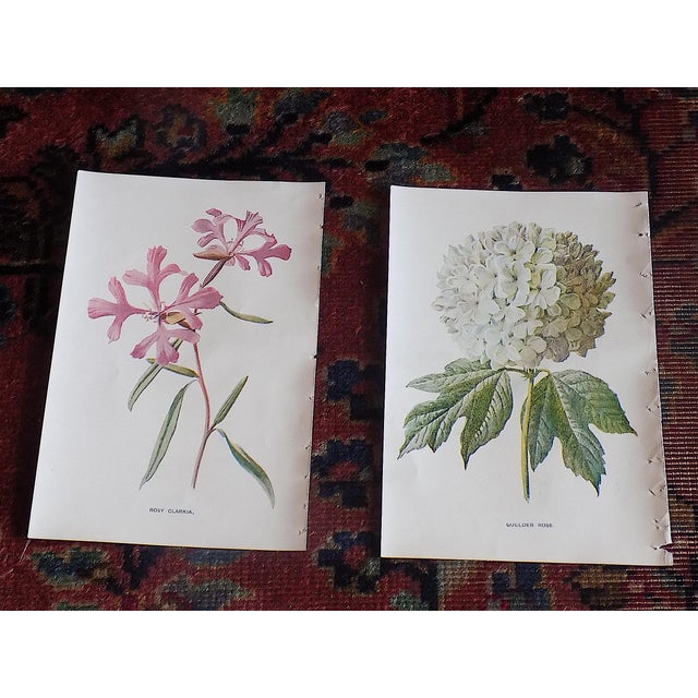 We made a super buy and are passing on the savings! This set of twelve (12) late 19th century lithographs (offset) by...