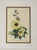 Traditional Wall Decor, Framed Floral Botanicals, Giltwood Frame, 19th C. For Sale - Image 10 of 14