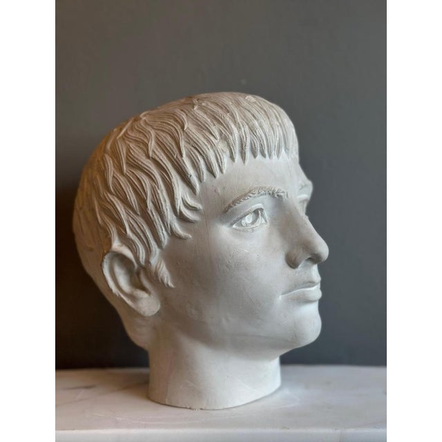 Young and Older Julius Caesar Plaster Heads, Set of 2 For Sale - Image 13 of 15