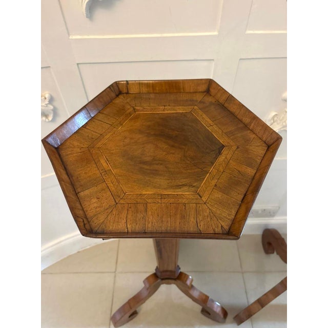 Brown Antique Dutch Walnut and Kingwood Pedestal Torcheres, 1800, Set of 2 For Sale - Image 8 of 17