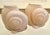 Mid-Century Modern Pink Glass Shell Vases - Set of 2 For Sale - Image 3 of 8