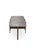 Niteroi Low Table with Metal Vucetich Top by Fabian Pellegrinet Conte For Sale - Image 4 of 5
