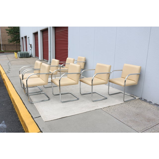 2010s Ludwig Mies Van Der Rohe Brno Tubular Chairs in Beige Leather by Gordon, Set of 8 For Sale - Image 5 of 18