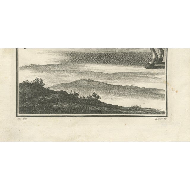 Gaspar Fróis Machado, Equestrian Training Horsemanship, 1790, Engraving, Set of 3 For Sale - Image 11 of 15