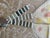 Suzani Wall Decor - Hand-Embroidered Embroidery 3'9'' X 4' For Sale - Image 15 of 15