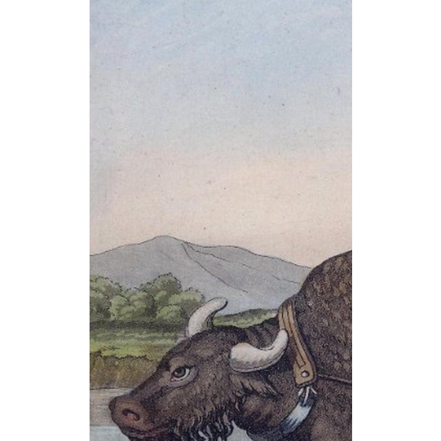 Gold Ferrario, Chinese Farmer with Water Buffalo Agricultural Scene, 1815, Print For Sale - Image 8 of 14