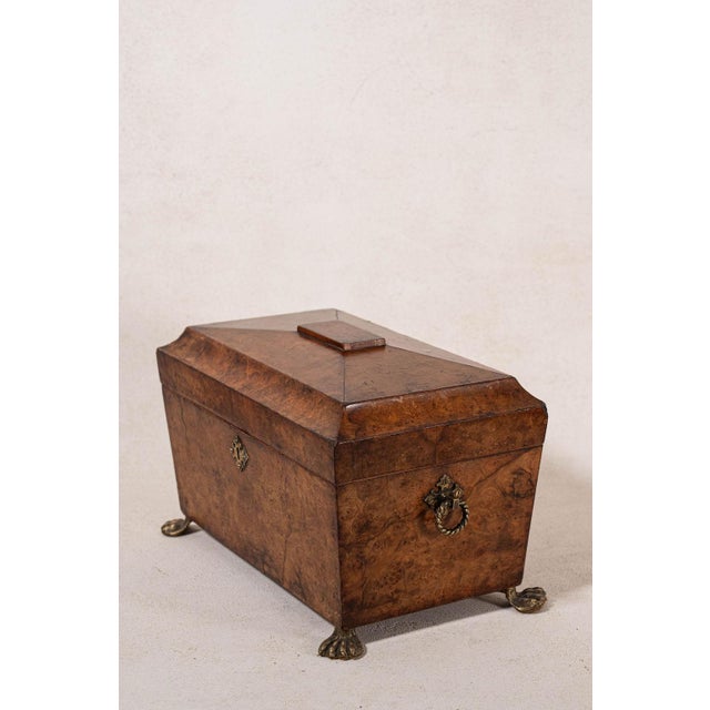 Antique burl walnut tea caddy featuring a domed lid, carved claw feet, divided interior, and rich burl walnut veneer.