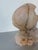 1980’s Vintage Hand-Carved Marble Tropical Fish Sculpture For Sale - Image 9 of 12