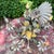 Vintage 1960’s Italian Hand Painted Polychrome 5 Arm Metal Tole Chandelier With Lilies For Sale - Image 12 of 12