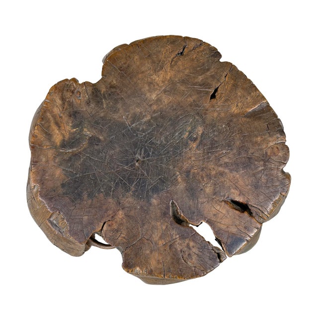 Wood 18th Century Chinese Qing Dynasty Scholar's Rootwood Stool For Sale - Image 7 of 13