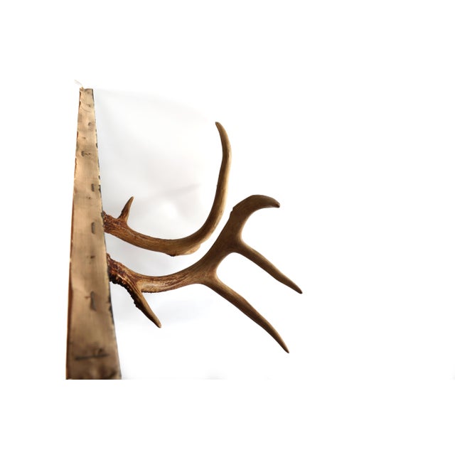 1960's Original Painting of a Businessman Altered With Antlers For Sale - Image 10 of 13