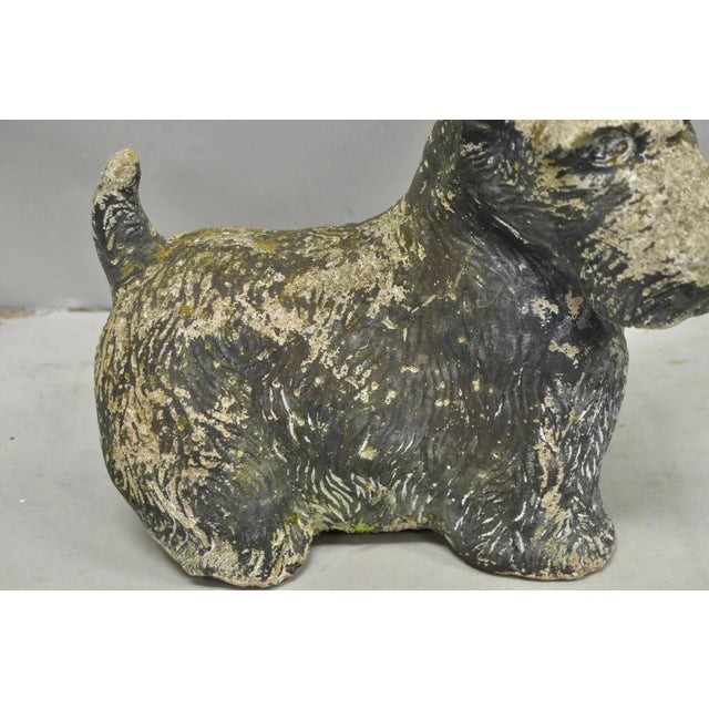 Vintage Scottish Terrier Scotty Dog 12" Small Cast Stone Concrete Garden Figure For Sale In Philadelphia - Image 6 of 14