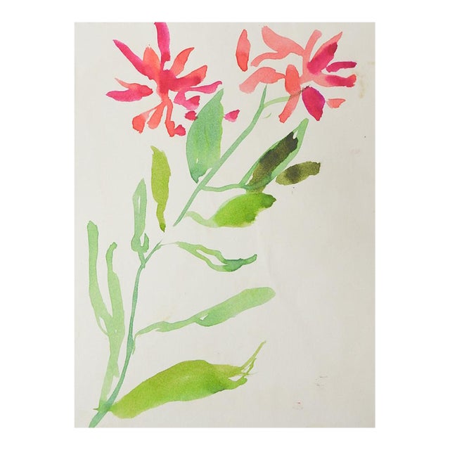 Early 20th Century Pink Flower Study Watercolor Painting For Sale